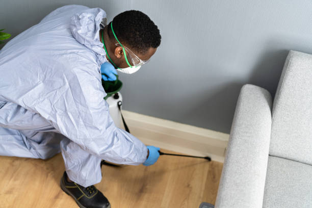 Best Pest Exclusion Services  in Wood River, IL